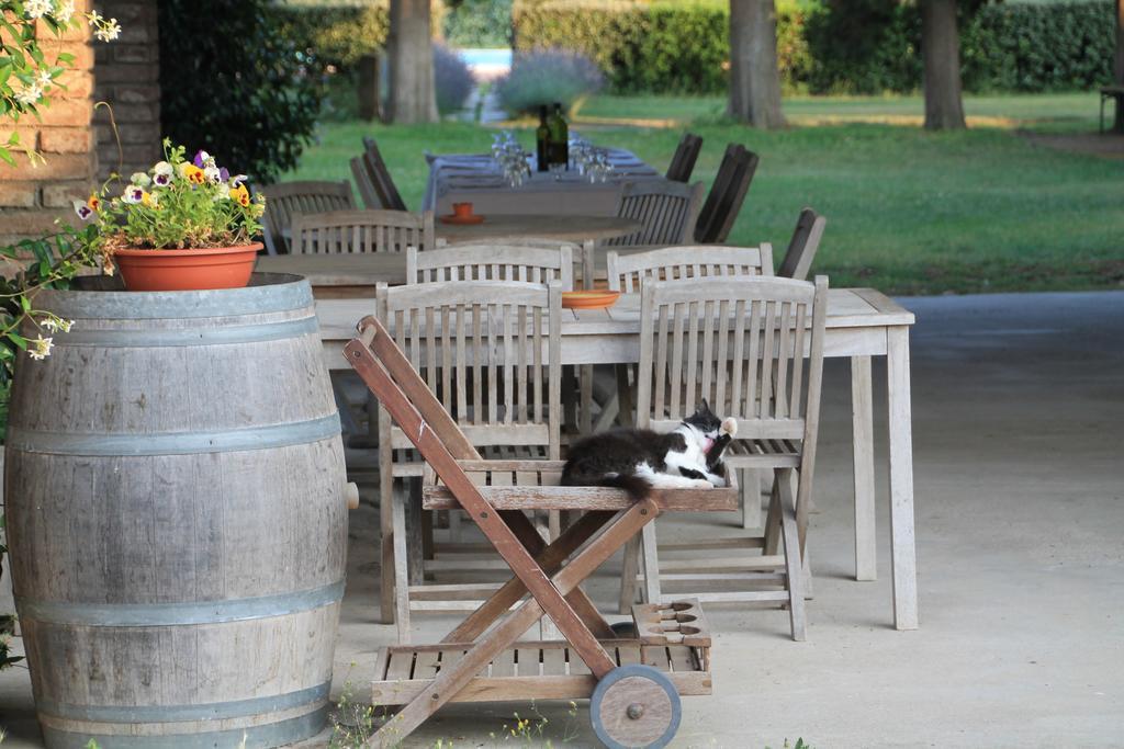 Agriturismo Le Piane Del Milia 수베레토 외부 사진