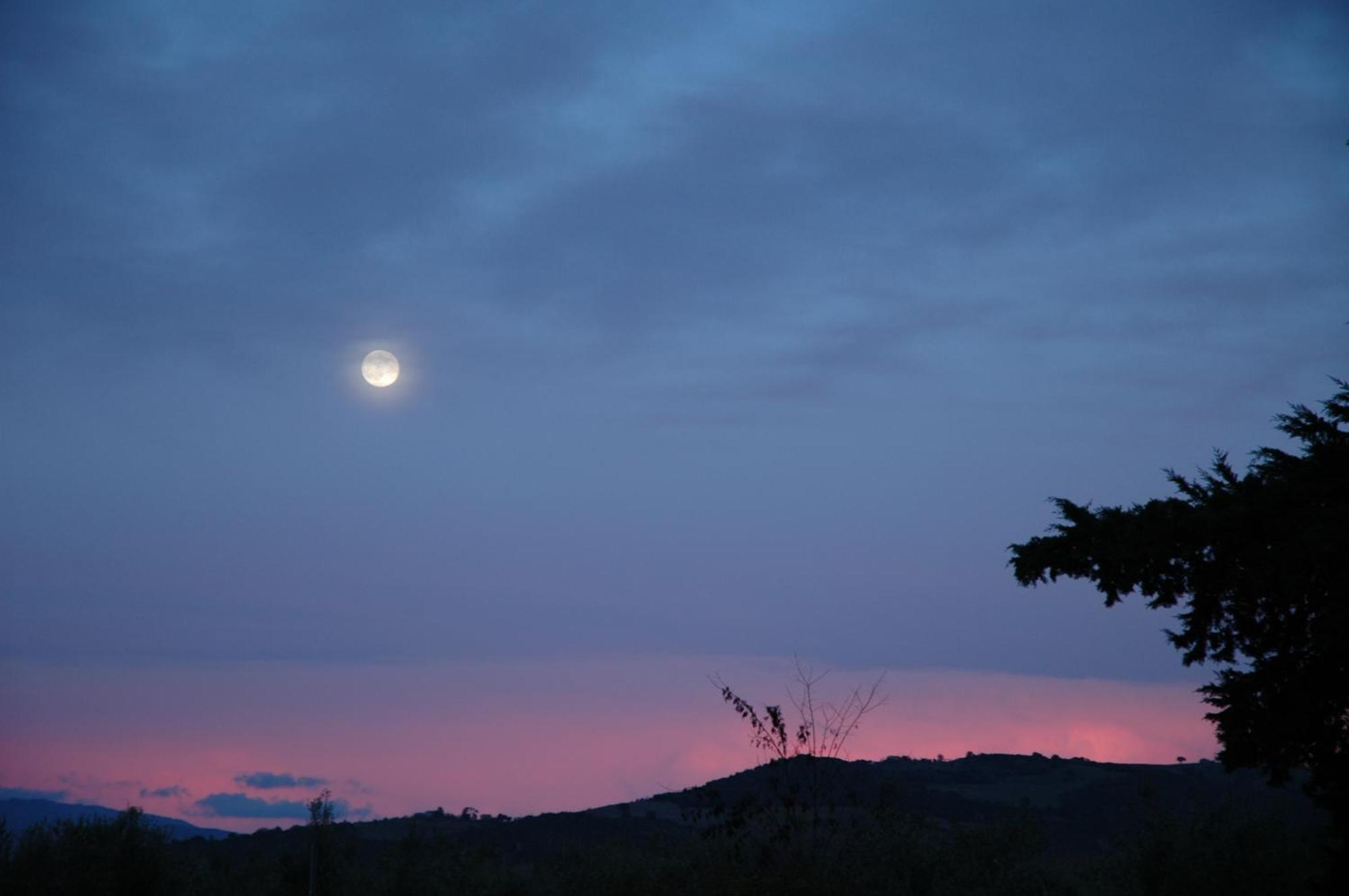 Agriturismo Le Piane Del Milia 수베레토 외부 사진